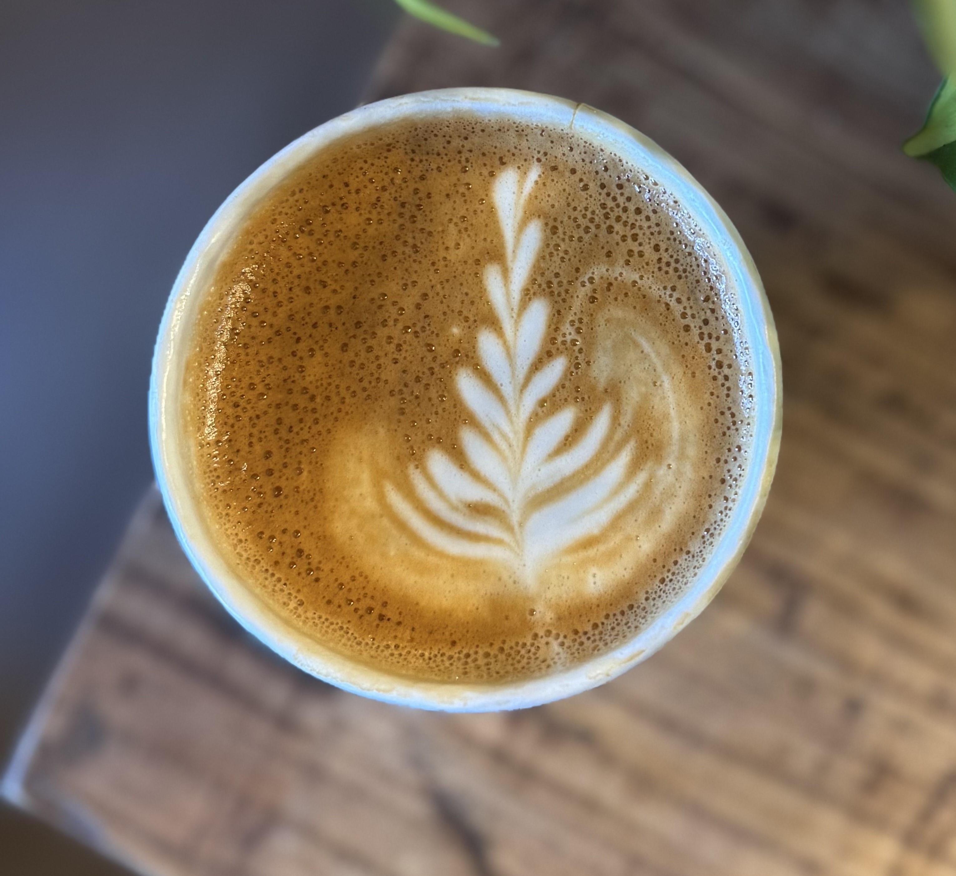 Specialty Coffee